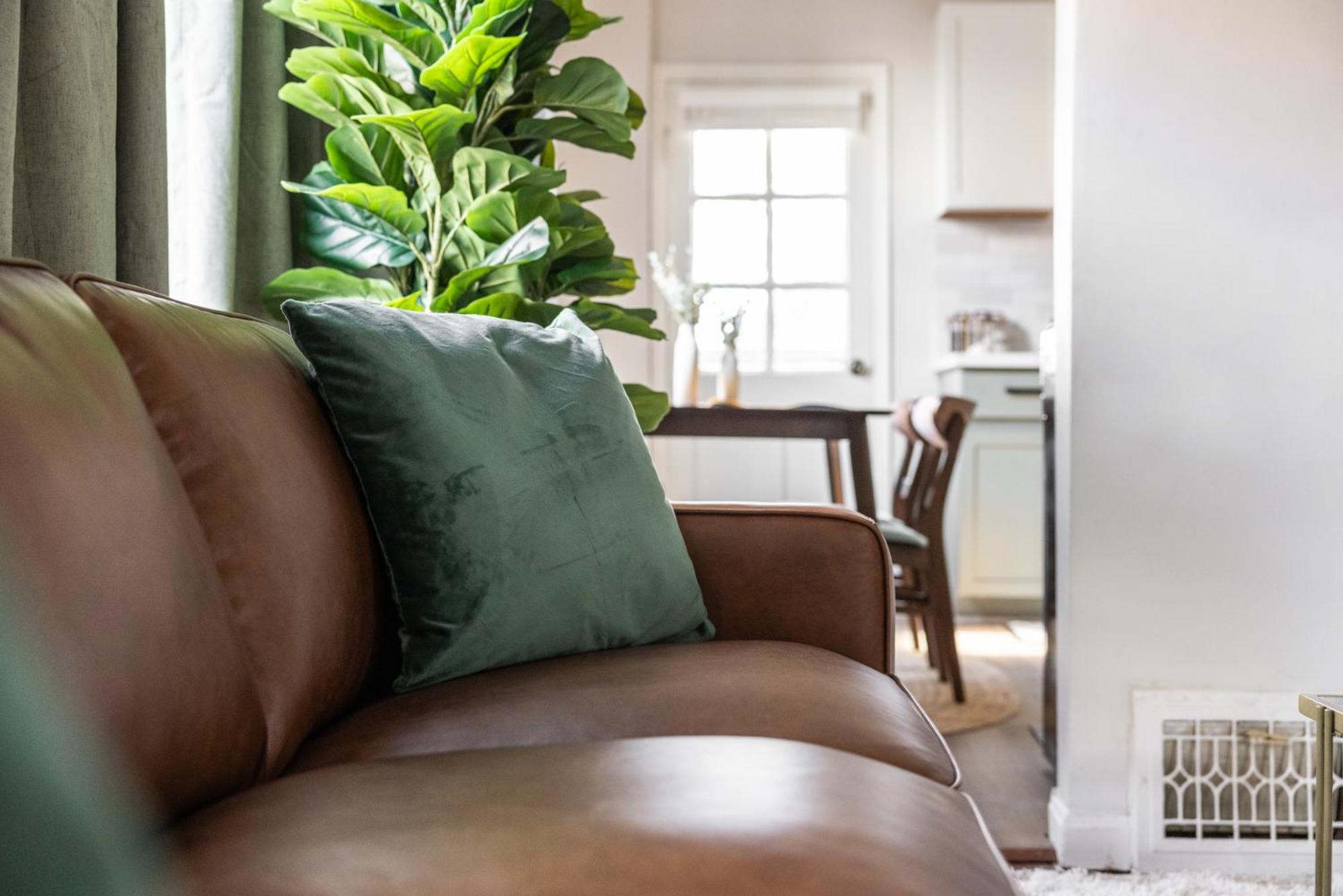 דירות קליבלנד Mid-Century Modern Retreat In Little Italy מראה חיצוני תמונה